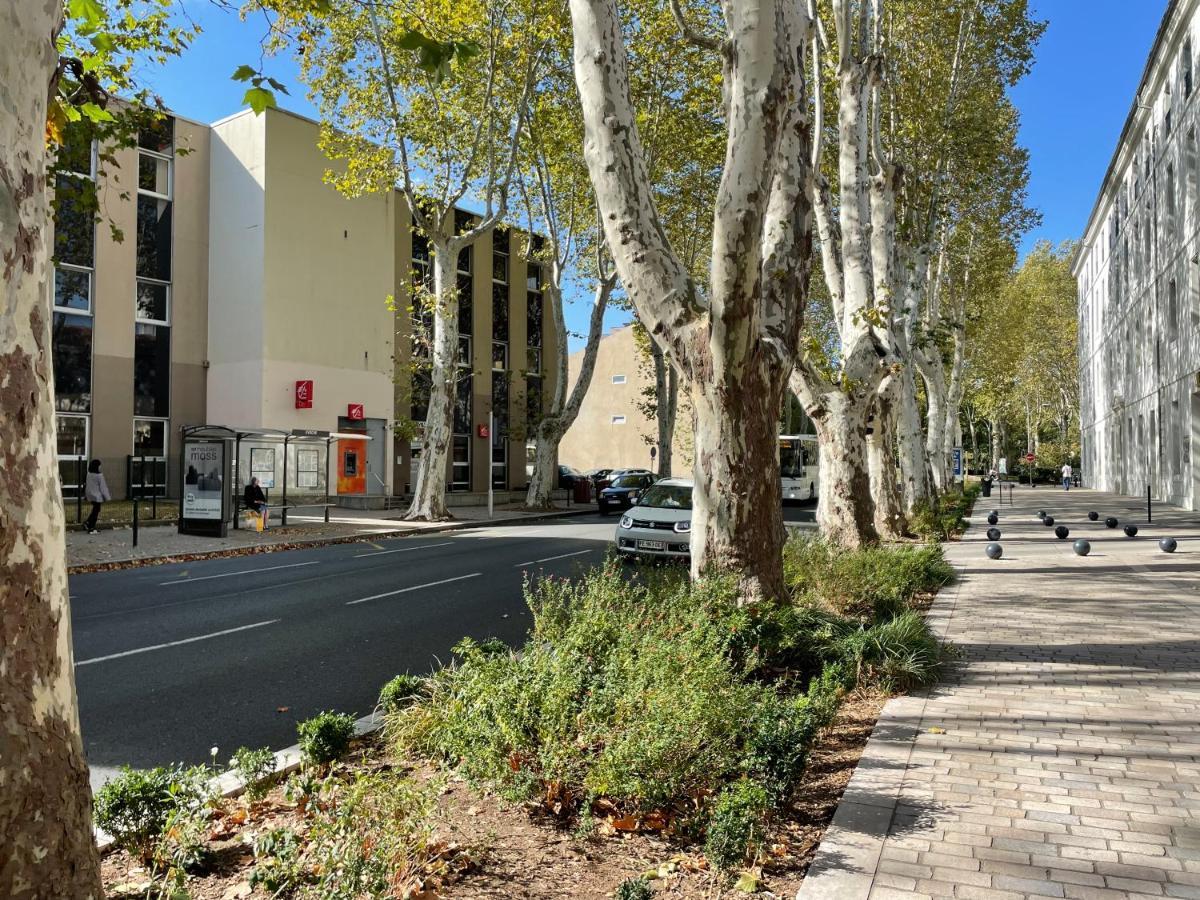 L'Eveche - T3 Spacieux & Traversant En Hypercentre Castres  Exterior foto
