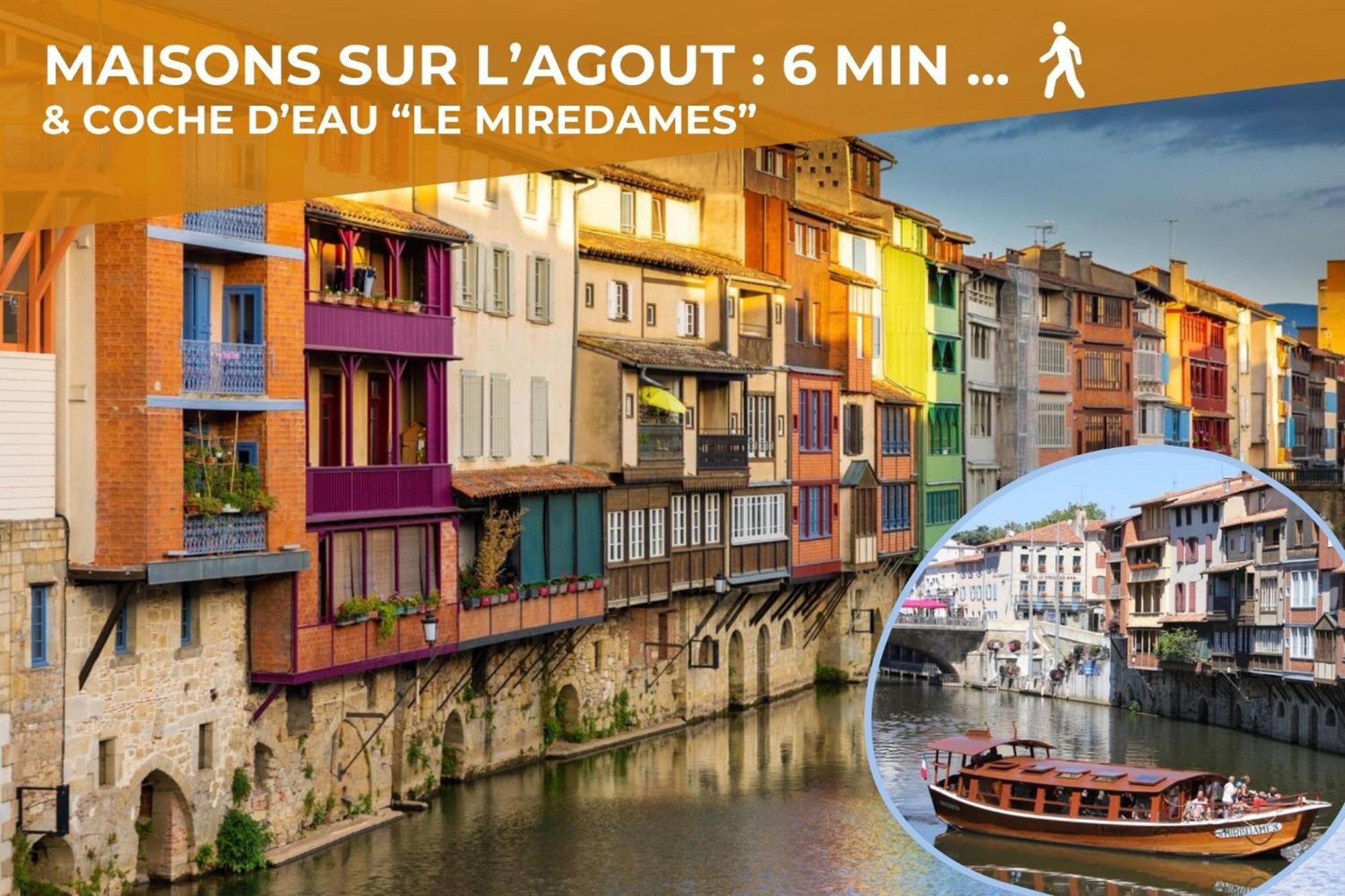L'Eveche - T3 Spacieux & Traversant En Hypercentre Castres  Exterior foto